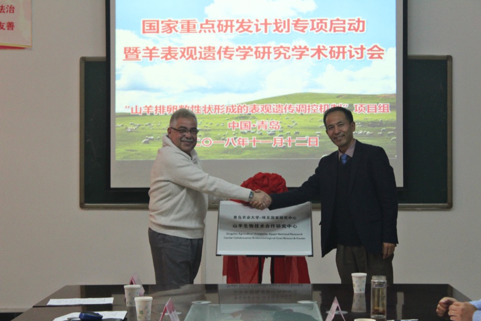 88858cc永利官网