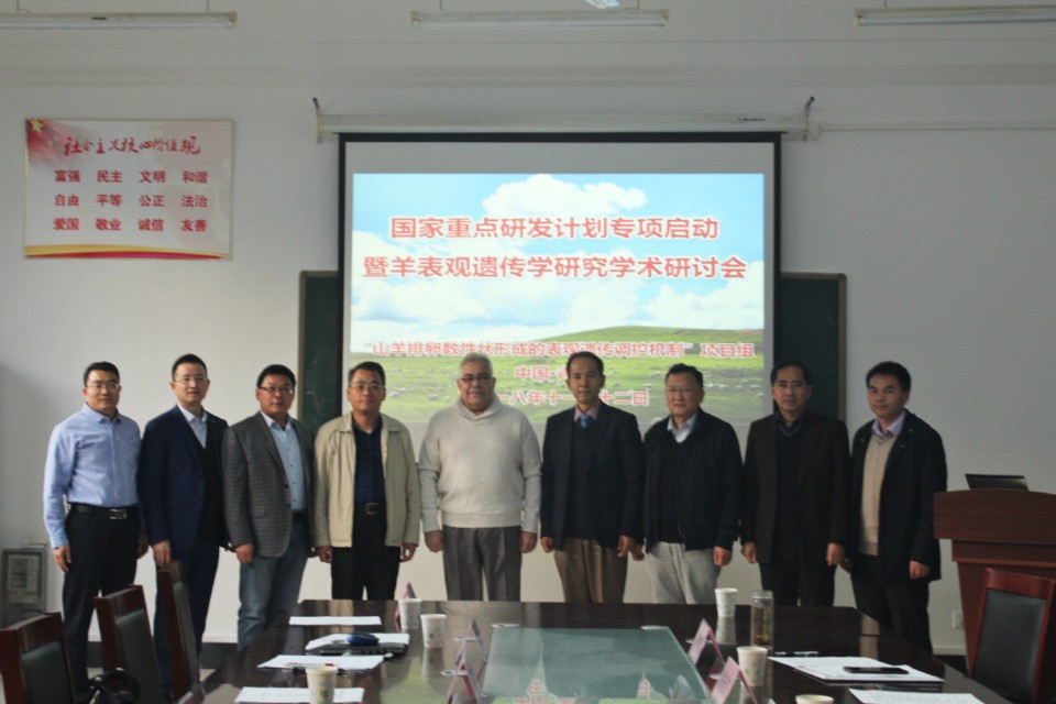 88858cc永利官网