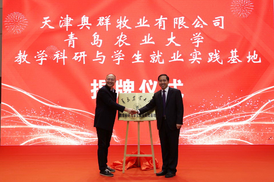 88858cc永利官网