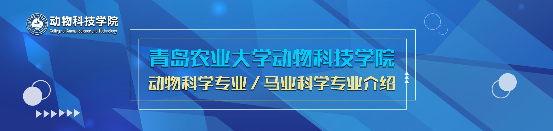 88858cc永利官网