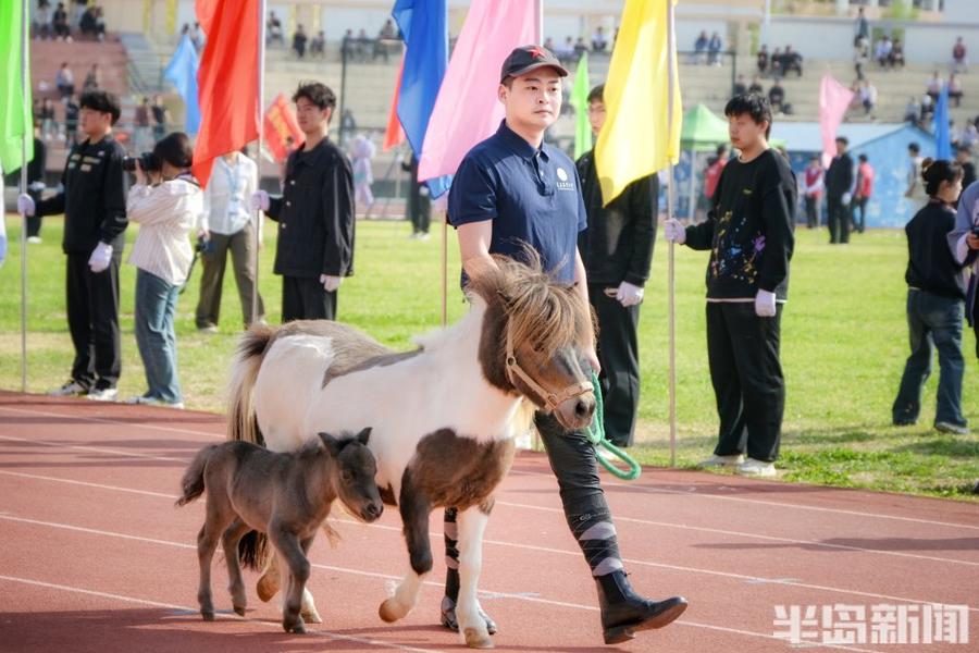 88858cc永利官网