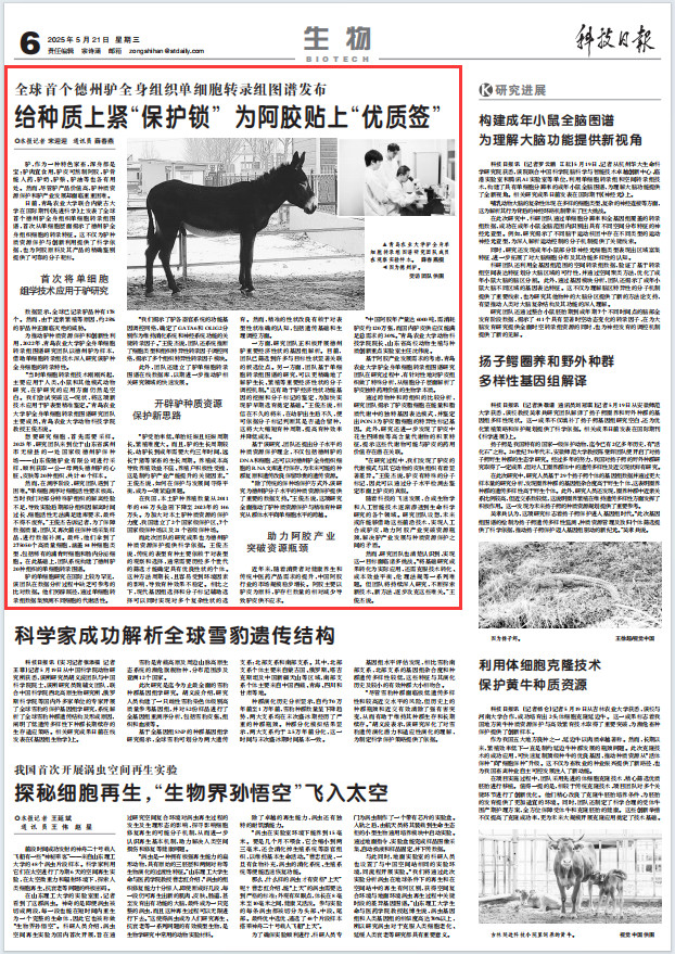 88858cc永利官网