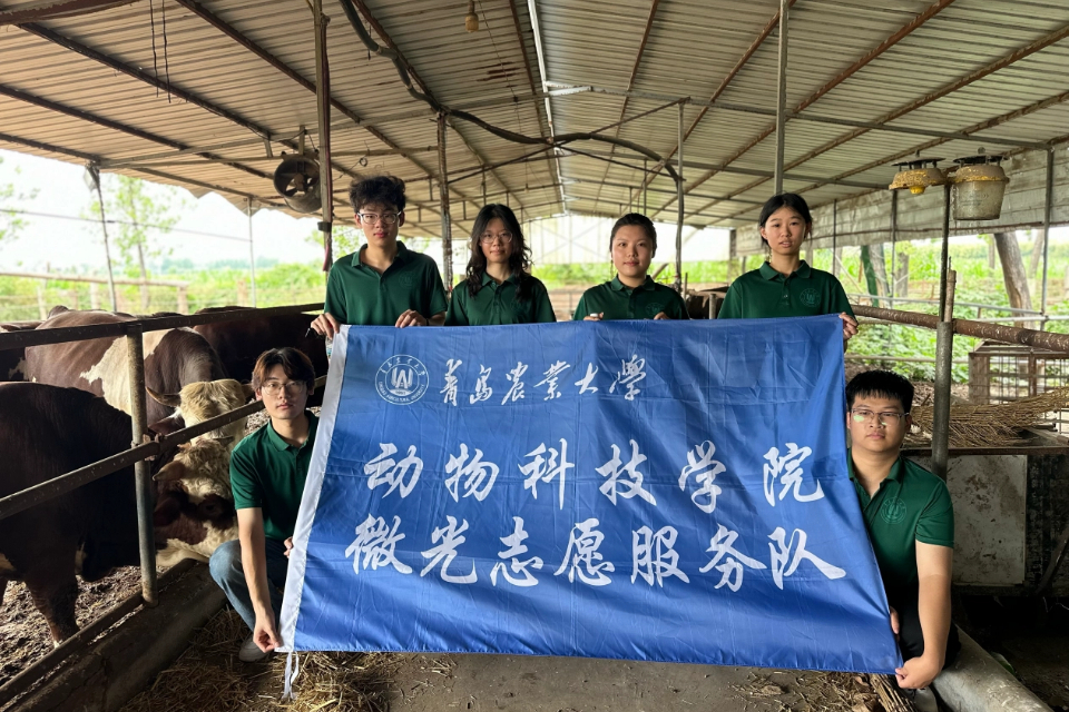 88858cc永利官网