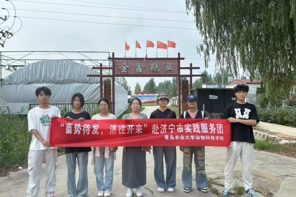 88858cc永利官网