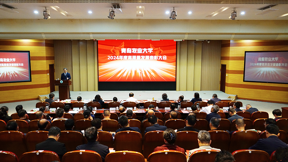 88858cc永利官网