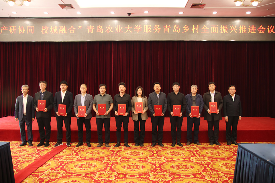 88858cc永利官网
