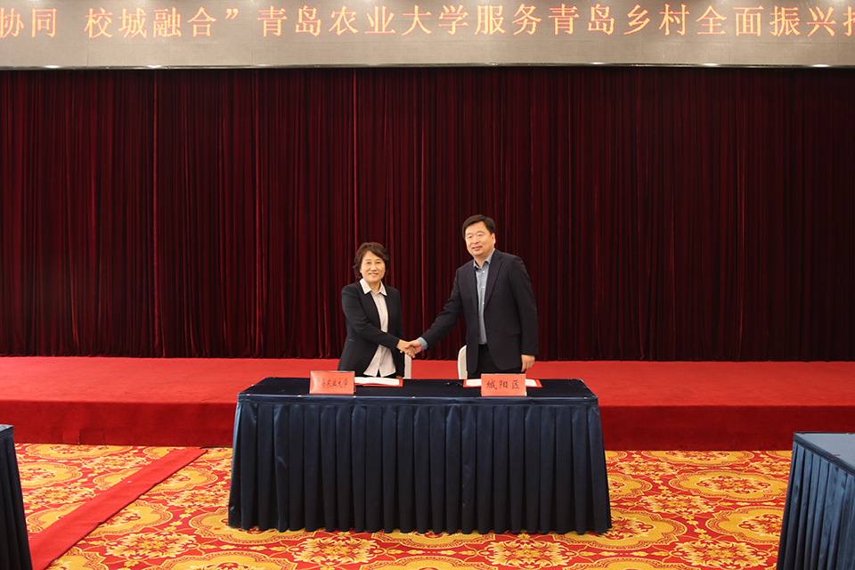 88858cc永利官网