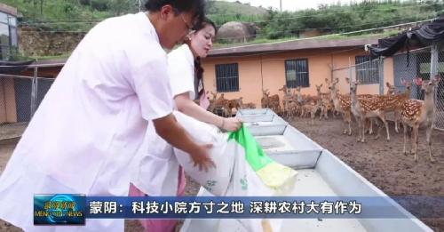 88858cc永利官网