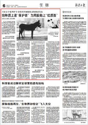 88858cc永利官网